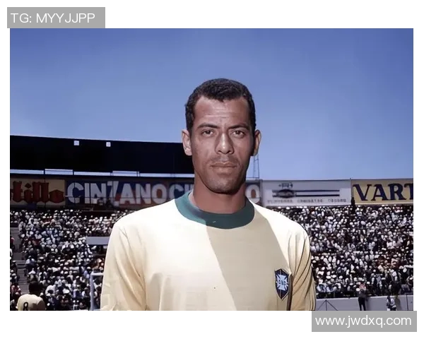 173CM足球明星的传奇故事与职业生涯回顾 173CM足球明星的传奇故事与职业生涯回顾