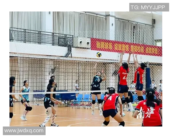 上海排球队在排球节奏排行榜中荣获第十名的佳绩引发热议