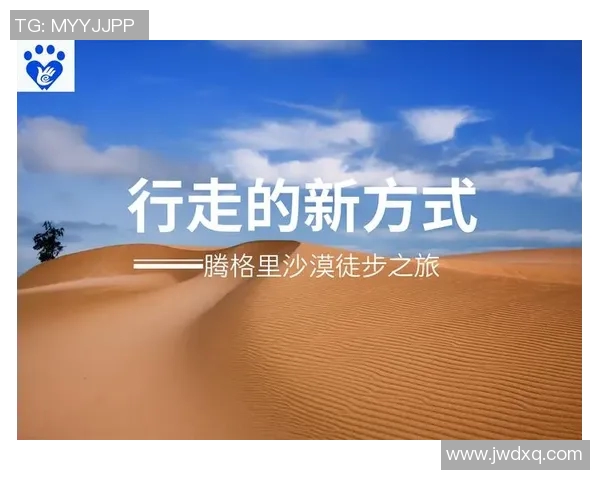 上海网球队的蜕变与崛起：从传统到现代的转型之旅