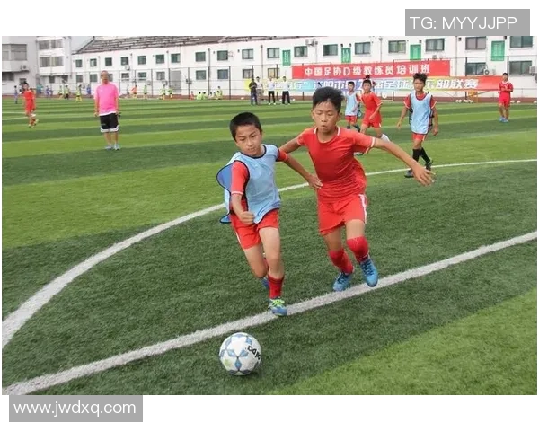 张宝锋足球：从青涩少年到职业联赛的奋斗历程与辉煌成就